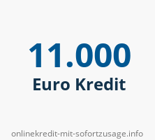 11000 Euro Kredit
