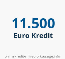 11500 Euro Kredit