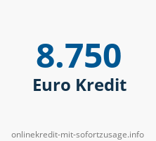 8750 Euro Kredit